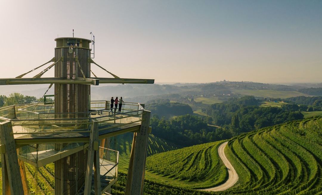 vidikovci u hrvatskoj