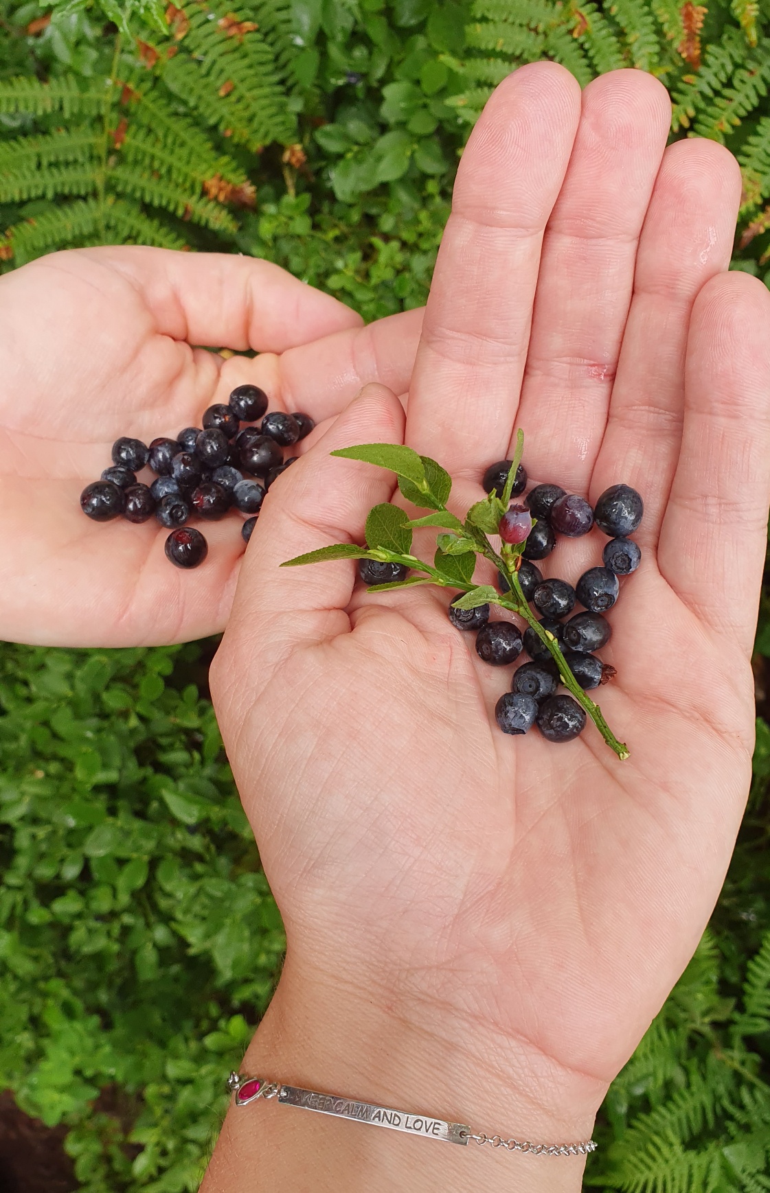 izlet ture gorski kotar