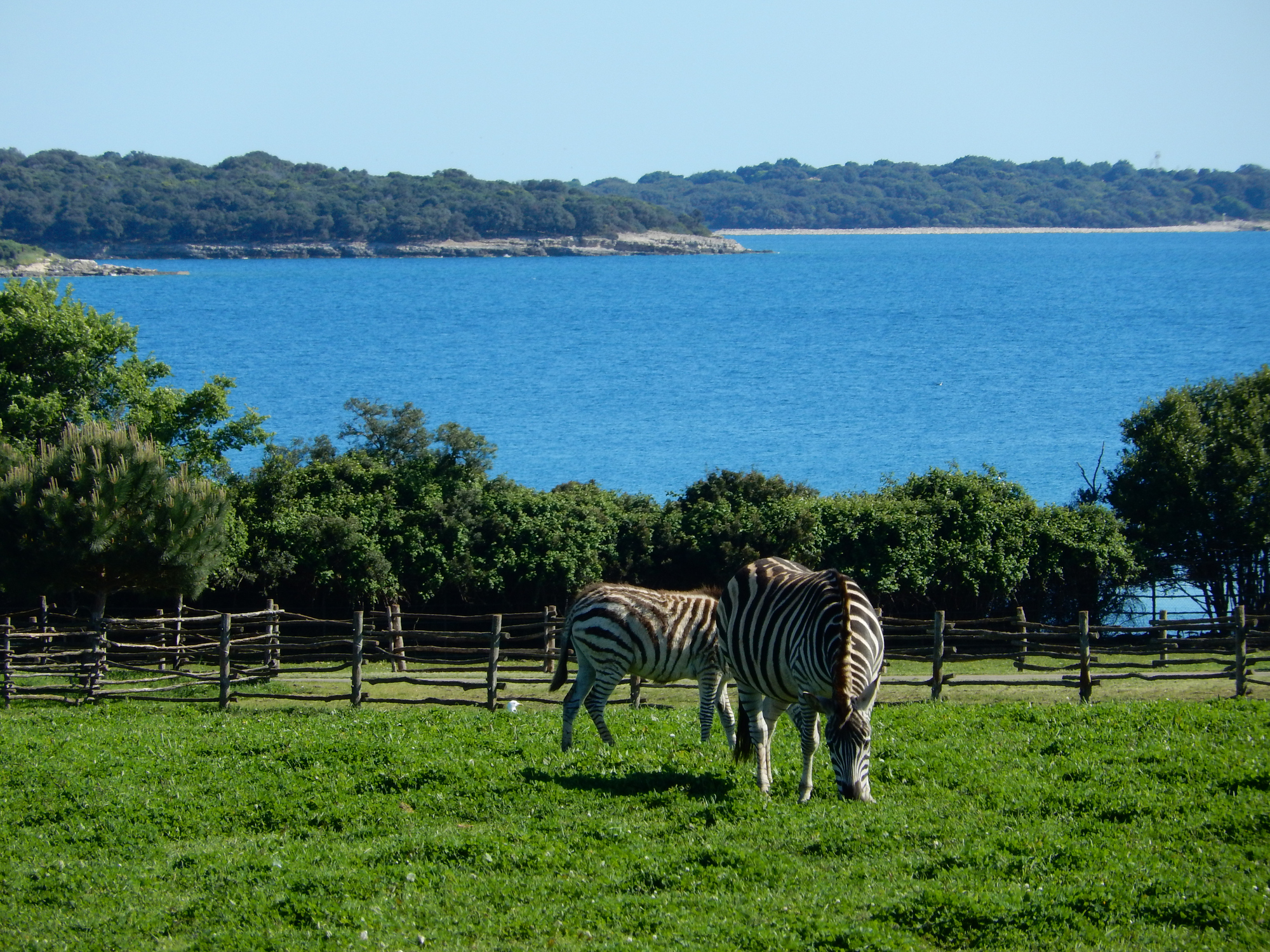 nacionalni park brijuni dani otvorenih vrata