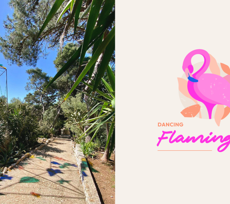 Dancing Flamingos na Palmižani najposebniji je yoga retreat u Hrvatskoj