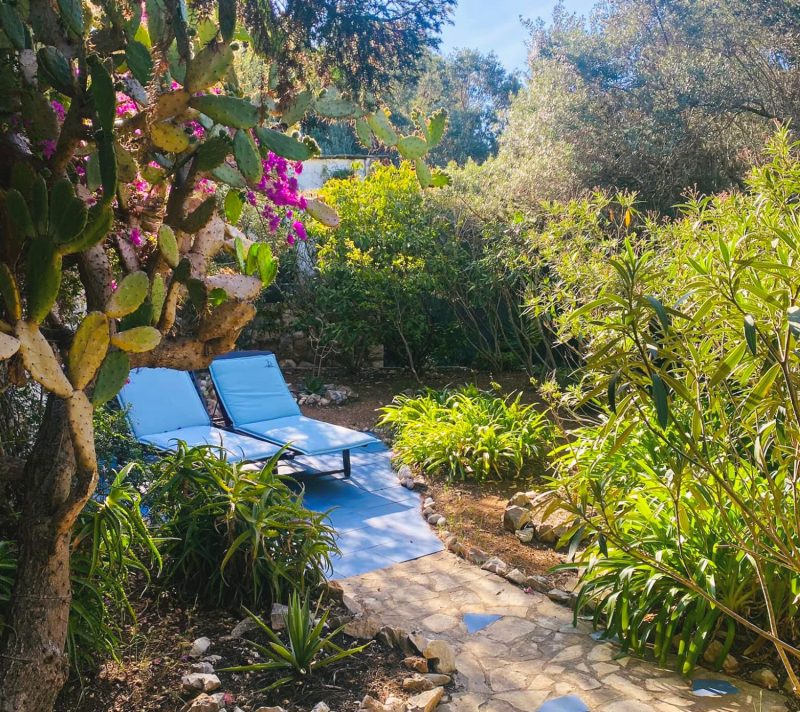 Dancing Flamingos na Palmižani najposebniji je yoga retreat u Hrvatskoj