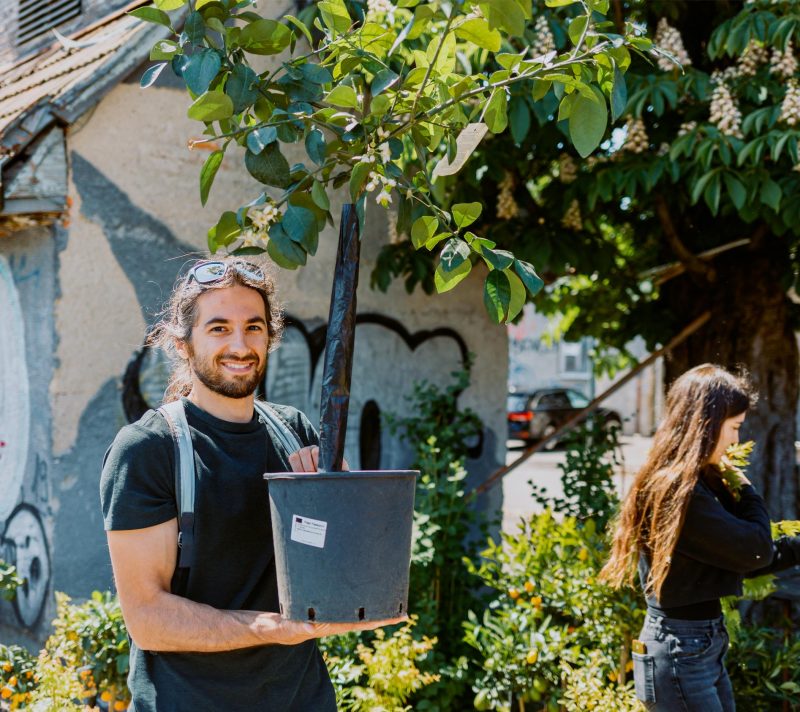 5. Plant market stiže na zagrebački Branimirac