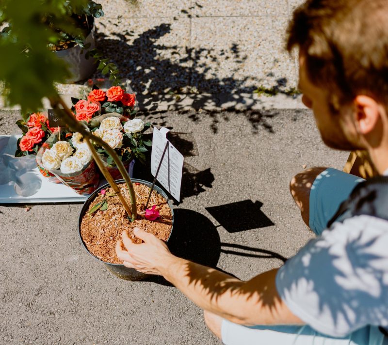 5. Plant market stiže na zagrebački Branimirac