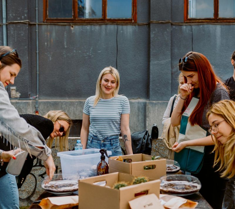 5. Plant market stiže na zagrebački Branimirac