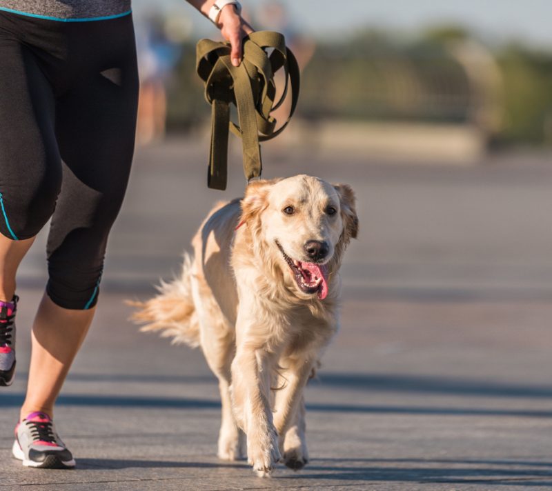Još jedan divan razlog da ove subote prošećete centrom Zagreba