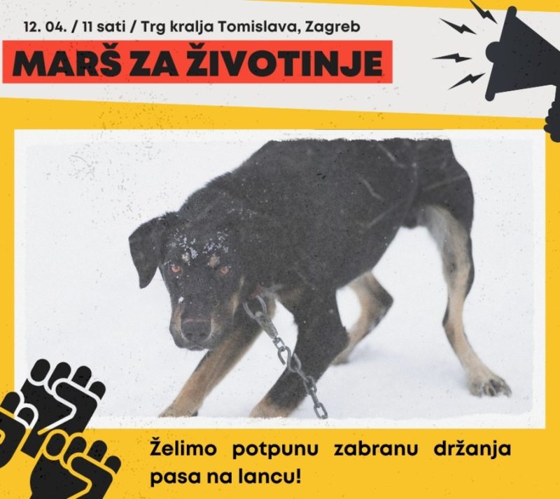 Udomljavanje je fora Zagreb