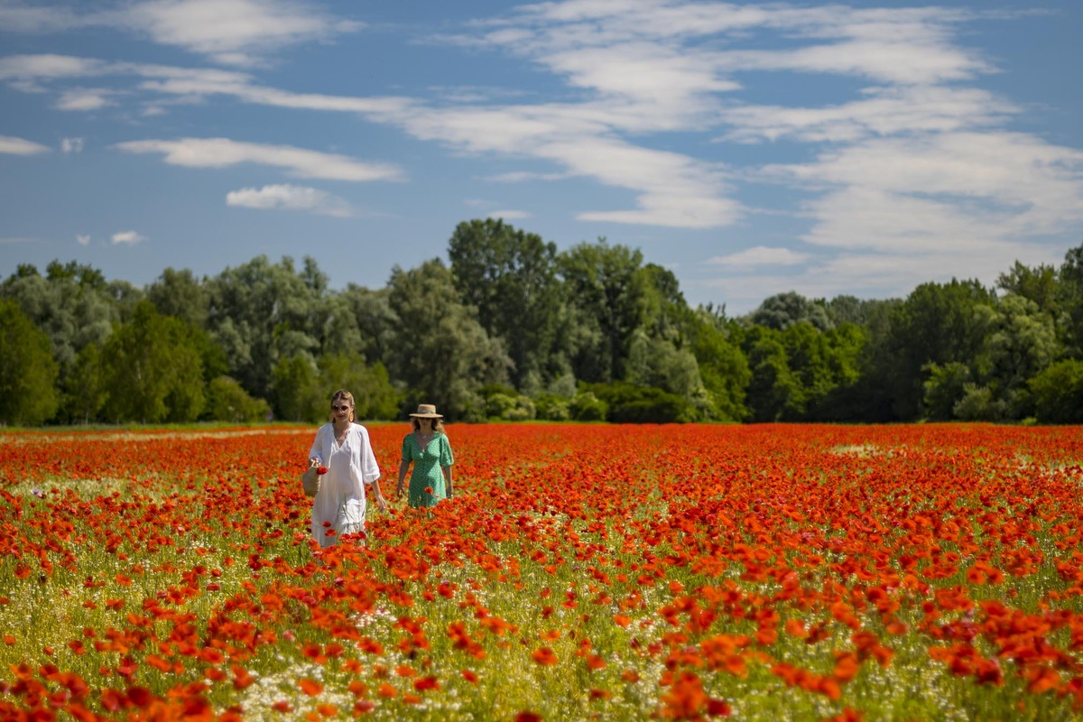 6 razloga je ljetni bijeg u Slavoniju i Podravinu odlična ideja