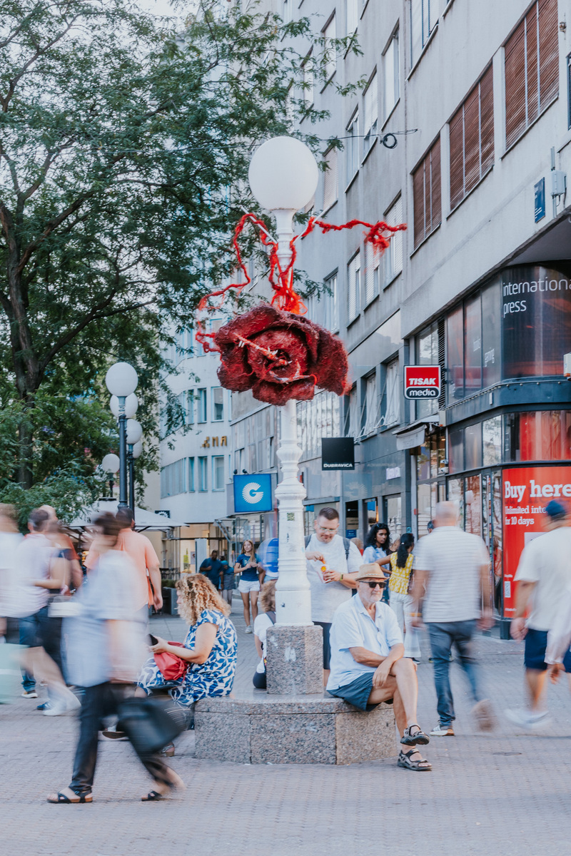 Okolo projekt Zagreb