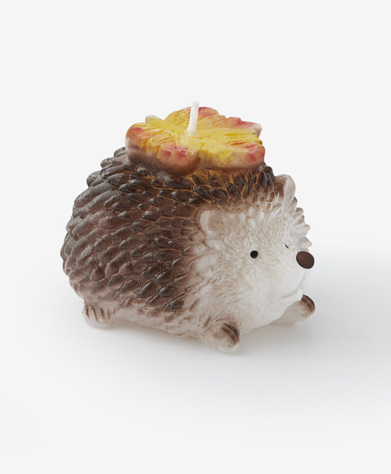 Jesenski ukrasi za dom iz Pepca