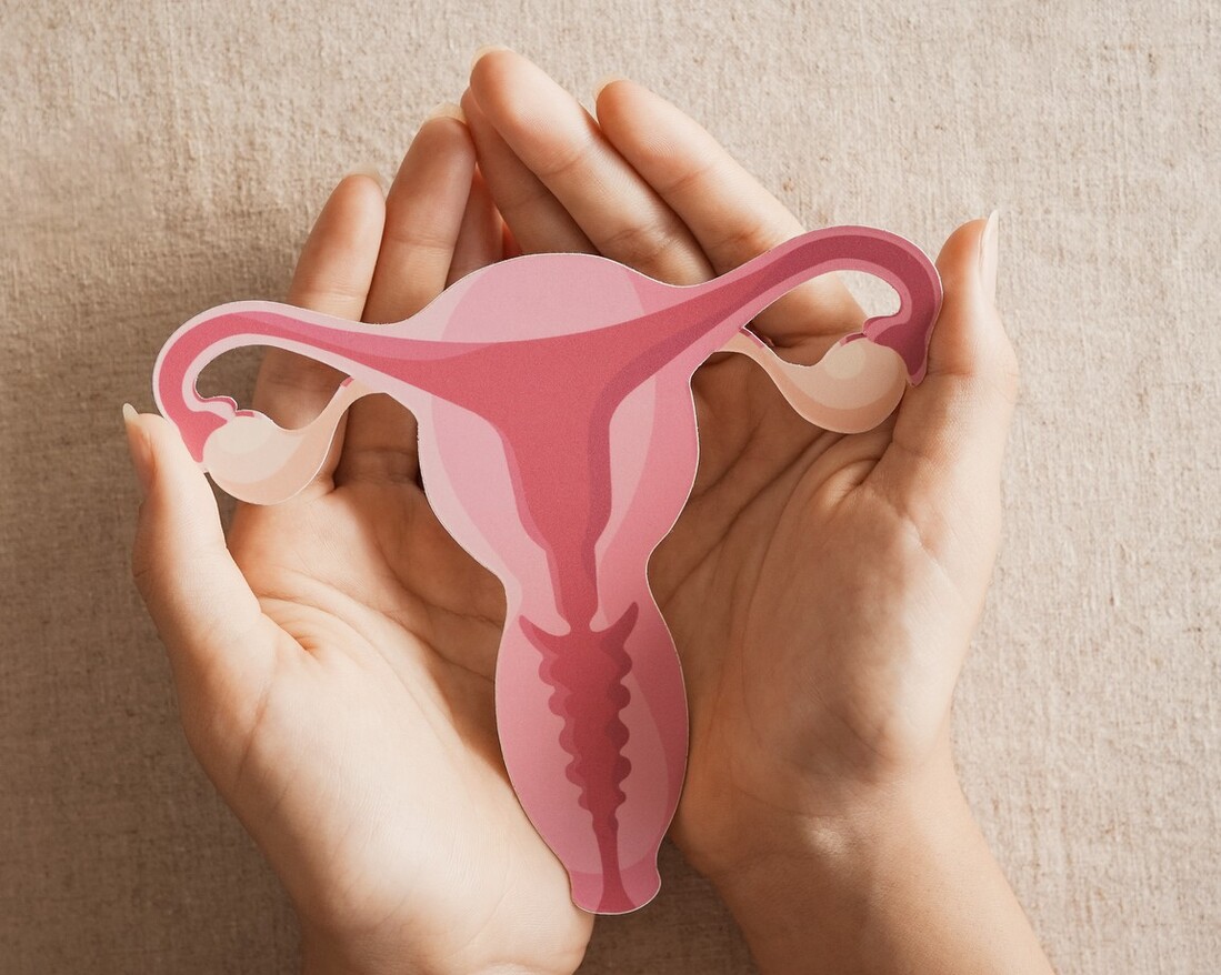 Menoflow radionica o menopauzi