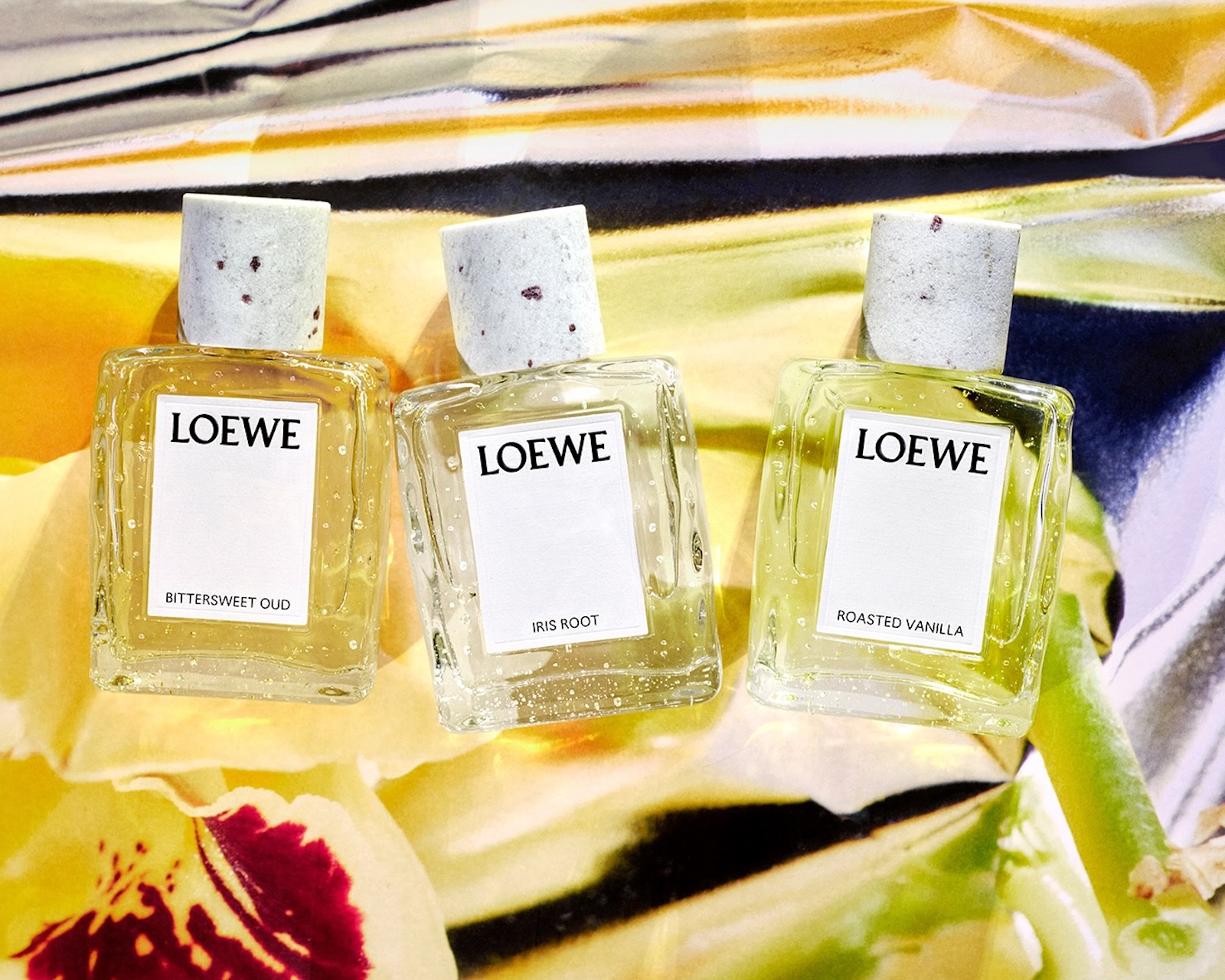 Loewe Crafted Collection