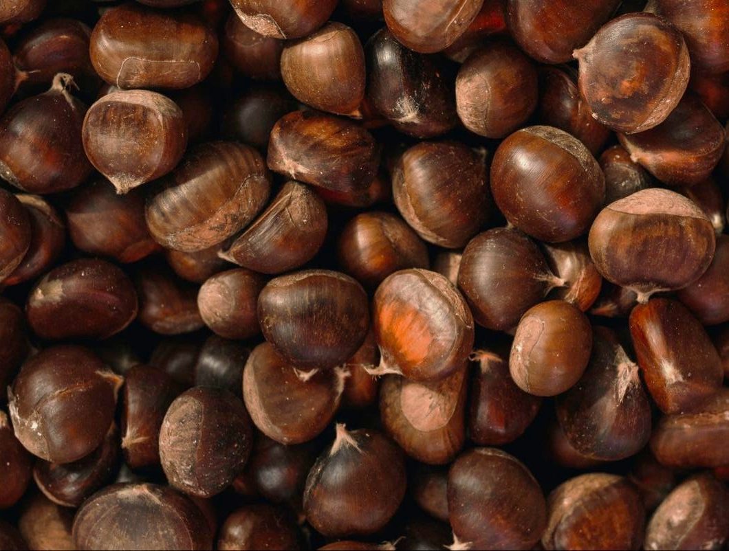 Recept za kesten pire bez šećera