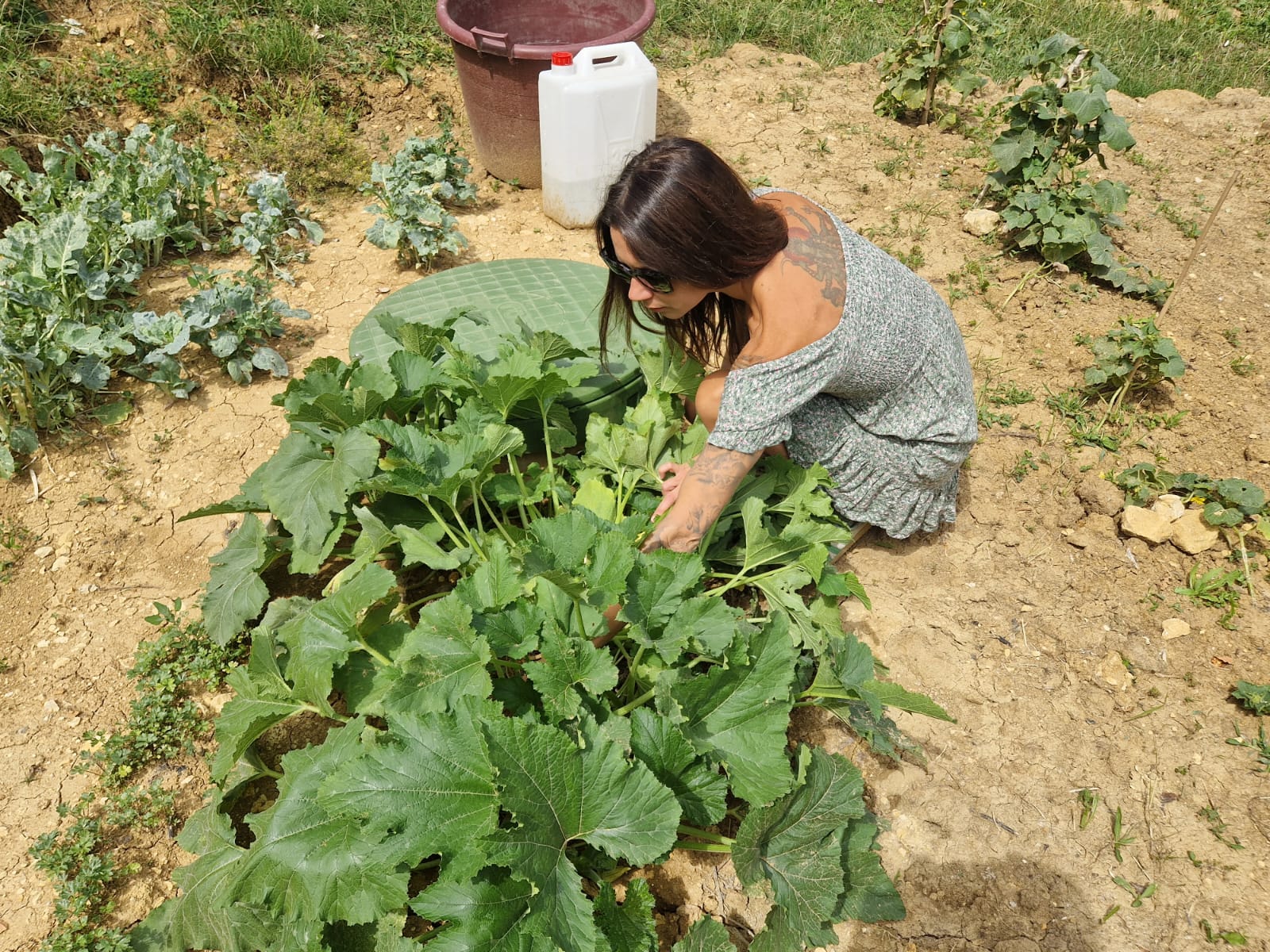 Iva Hanzen o preseljenju iz grada na selo i životu u šumi