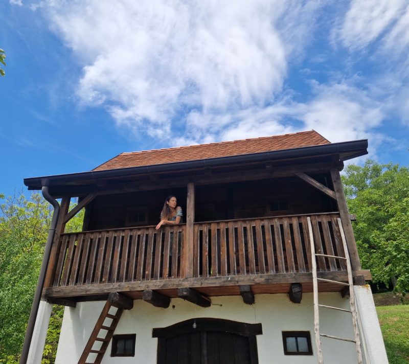 “Kad nesanica i glad postanu način života ili zašto sam otišla živjeti u šumu”