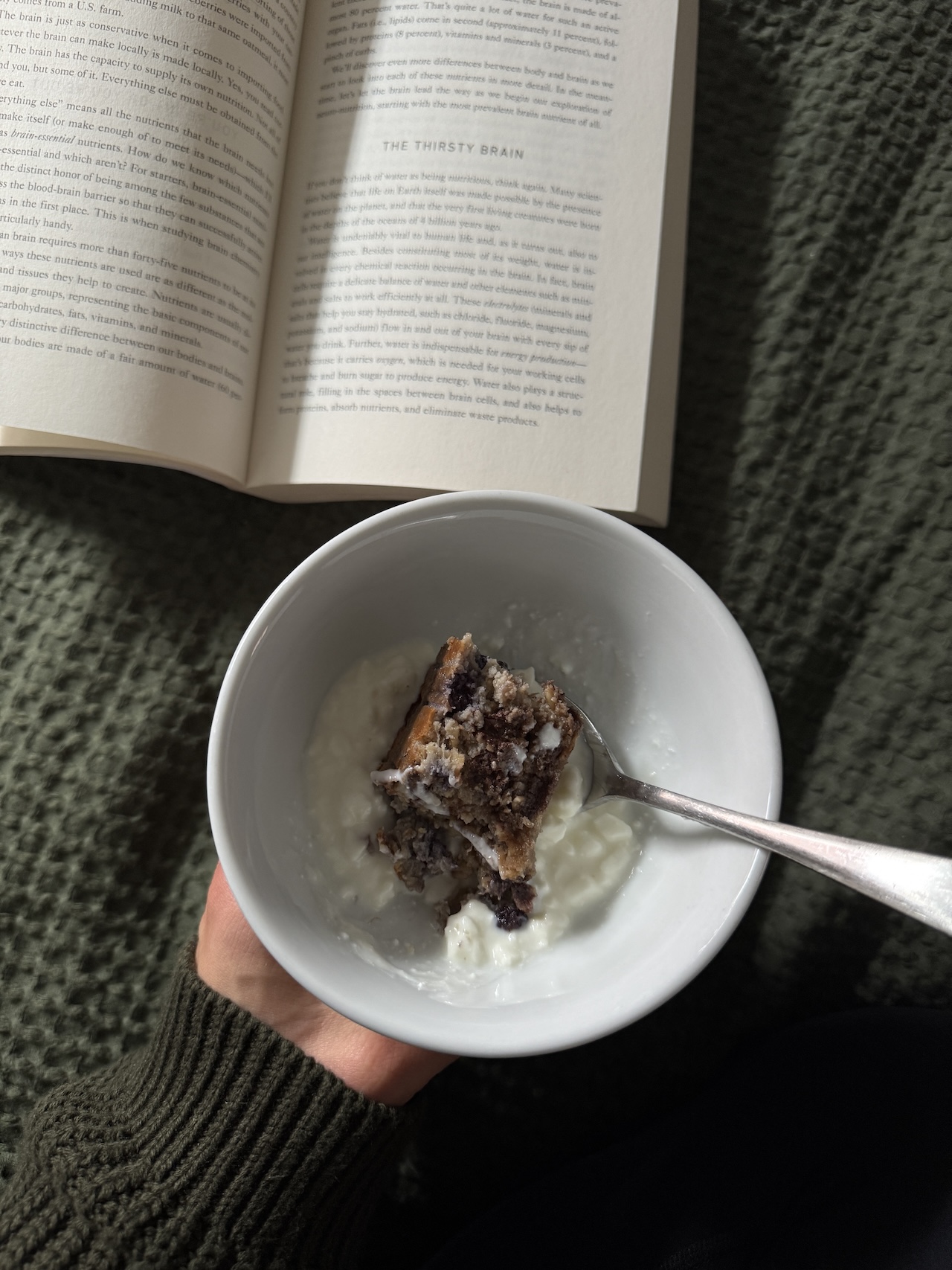 Grčki ili običan jogurt: koji je zdraviji izbor