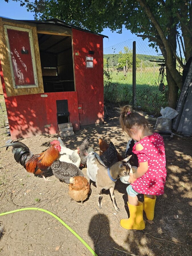 Adriana Kolar Combaj život na selu