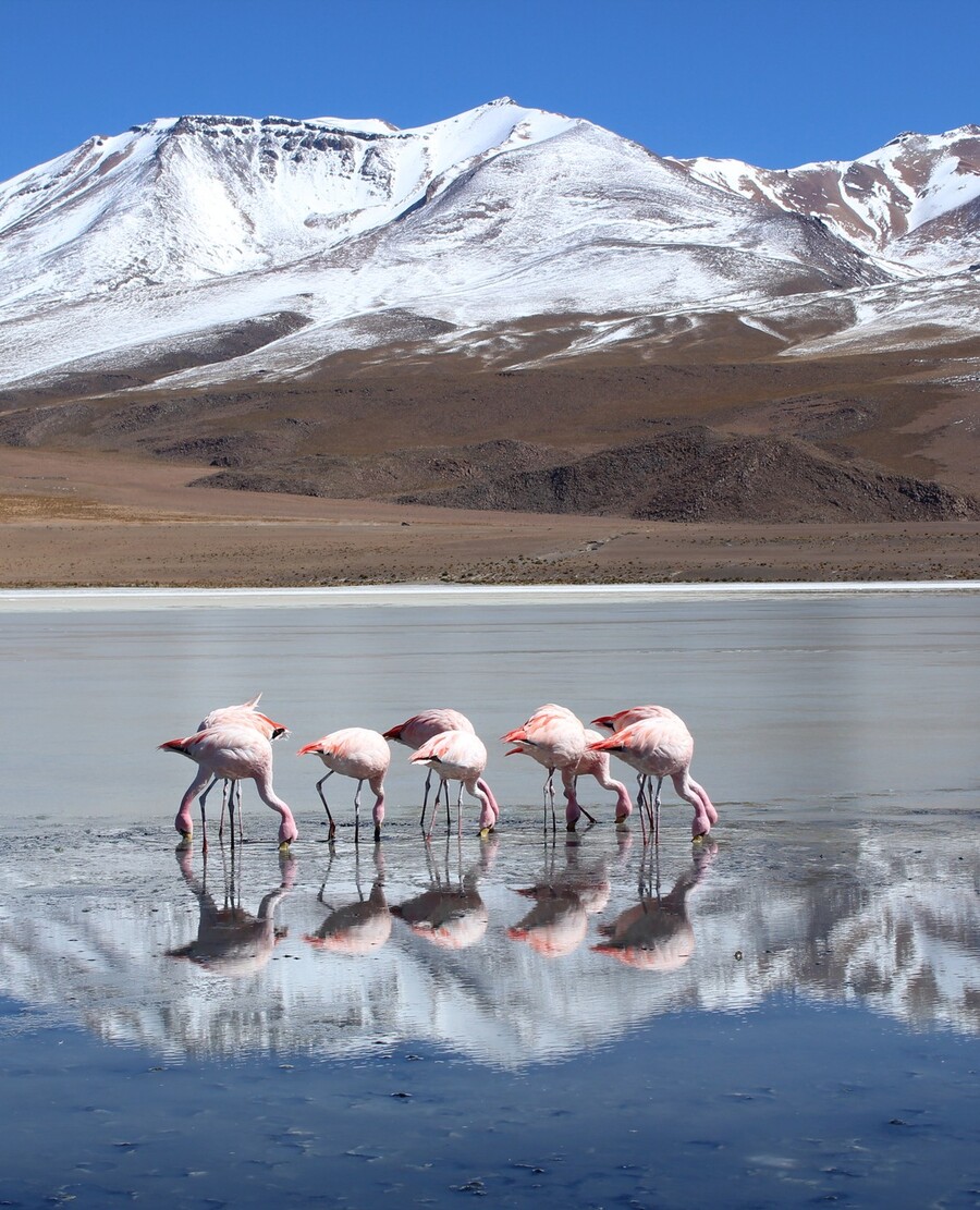 Pinterest Predicts trendovi za putovanja