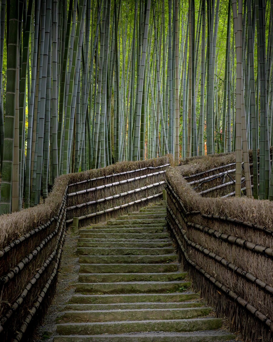 Pinterest Predicts trendovi za putovanja