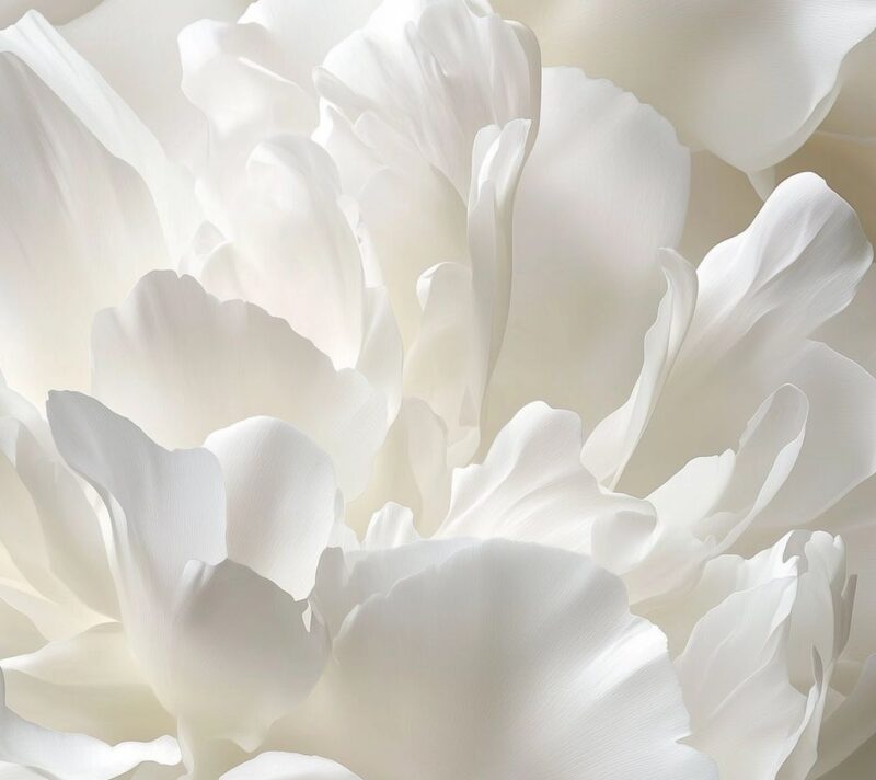 Cloud Dancer je Pantone boja 2026. Evo što ova nijansa predstavlja