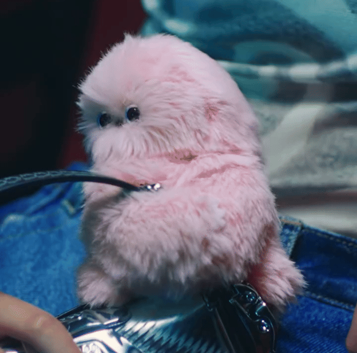 Upoznajte Mirumi, još jedan bizaran dodatak koji bi u 2026. mogao zamijeniti Labubu