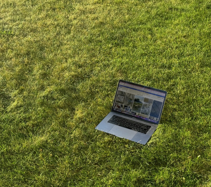 AI koji sadi drveće: Ovo je održiva alternativa ChatGPT-ju