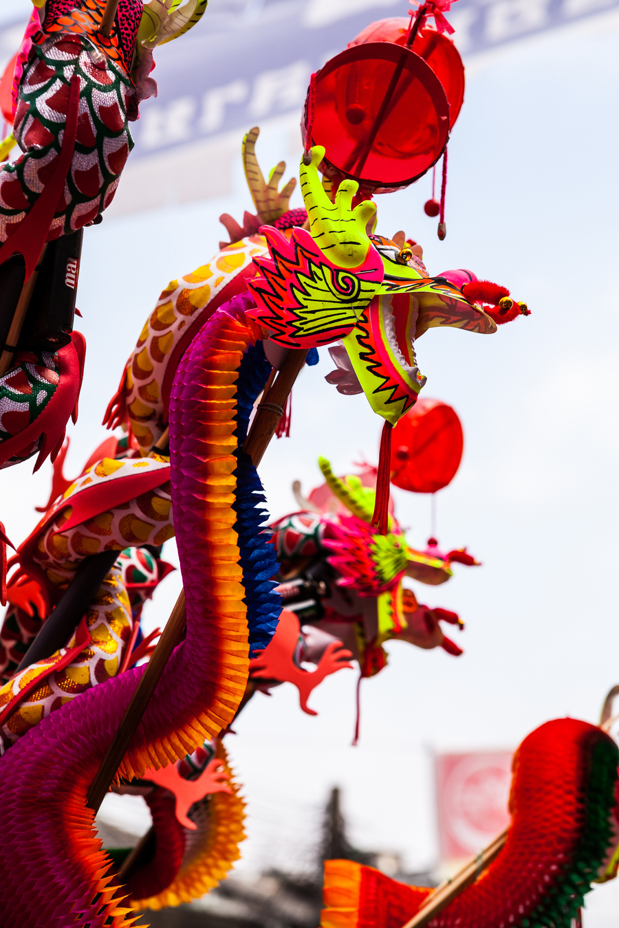 Godina vatrenog konja