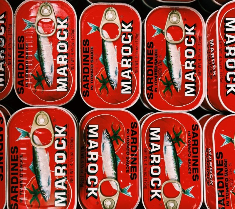 Koja je riba najzdravija? Ovih 6 vrsta trebate uvrstiti u svoju prehranu