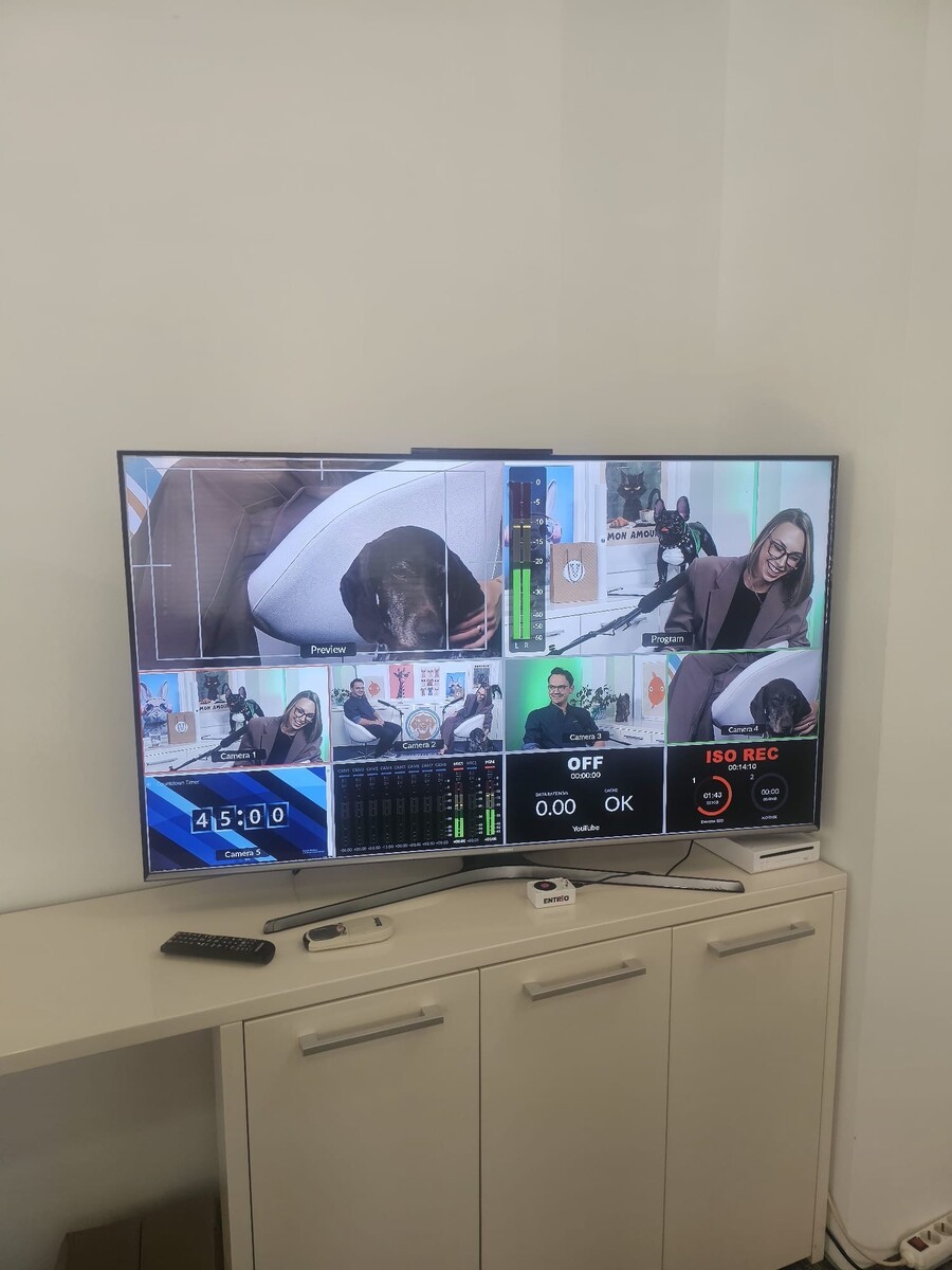 Emma Drobnjak podcast Vetify