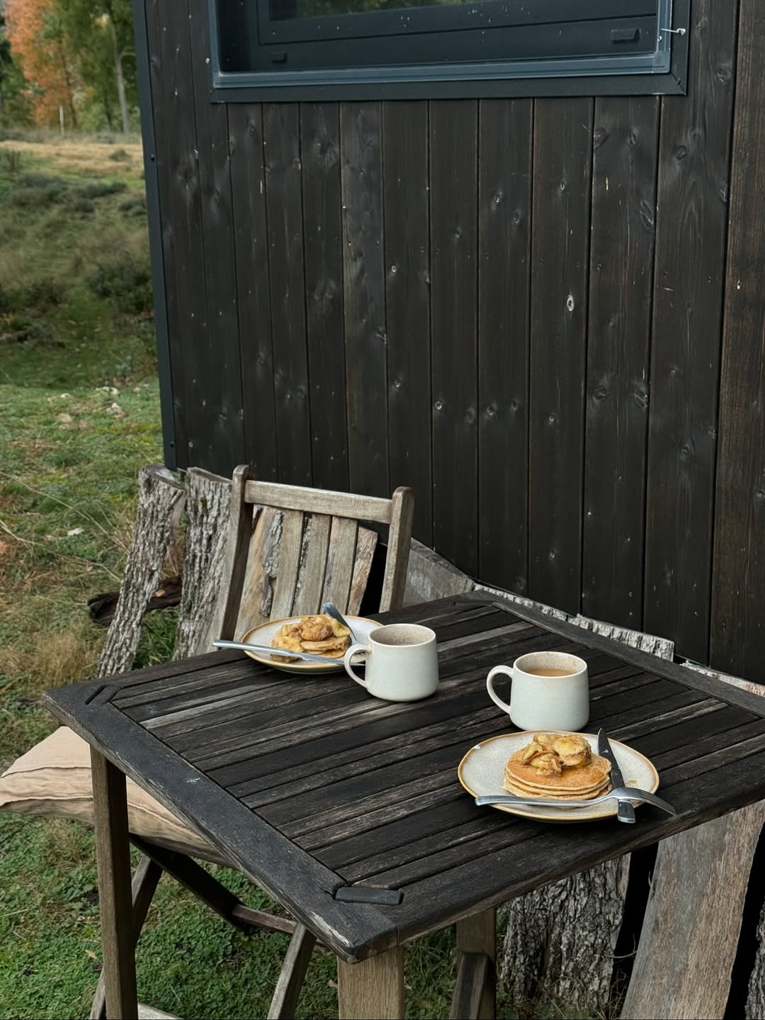 Lagom švedska filozofija balasa