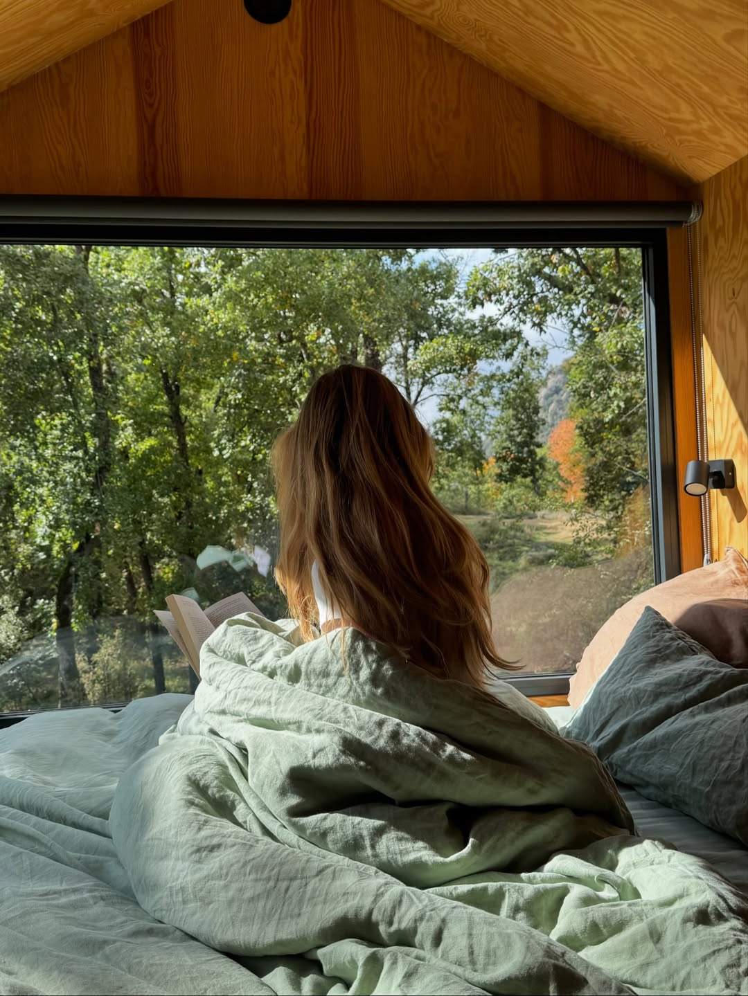 Lagom švedska filozofija balasa