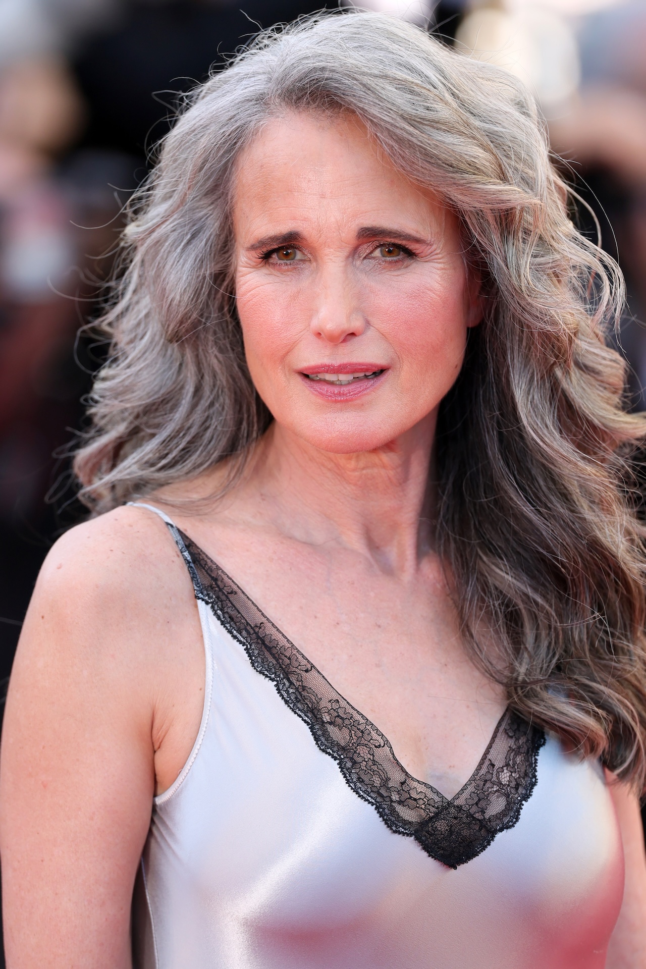 quiet silver trend sijede kose