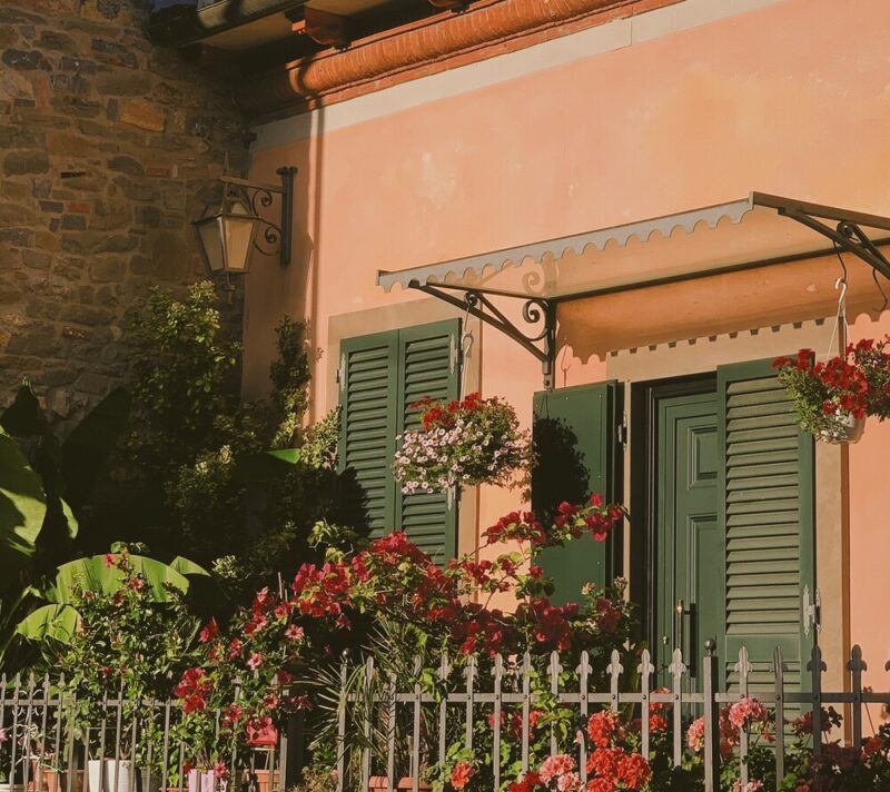 5 prekrasnih vrsta cvijeća koje ovog proljeća sadimo na balkone