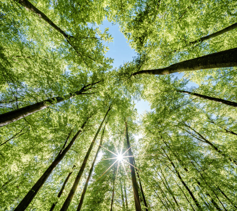 Održiviji način slanja paketa upravo je postao još jednostavniji i povoljniji