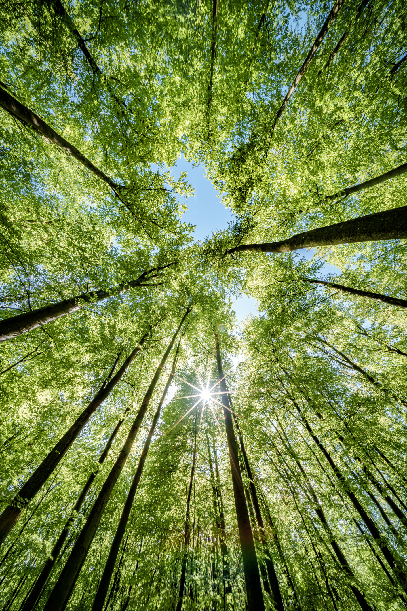 BOX NOW ima sjajan popust na slanje paketa uslugom 