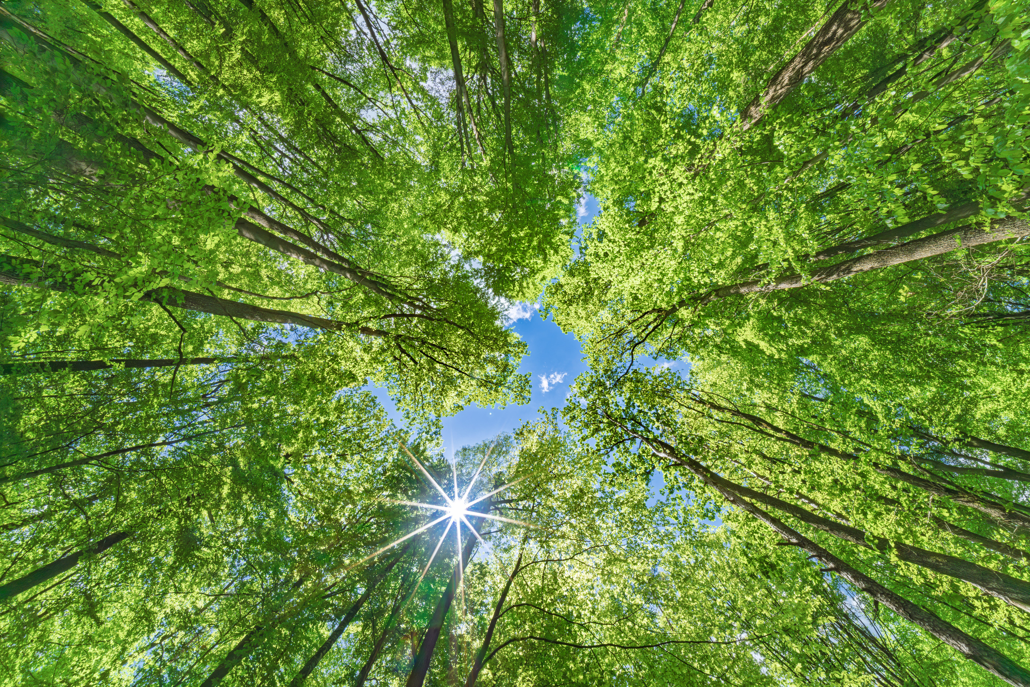 BOX NOW ima sjajan popust na slanje paketa uslugom 