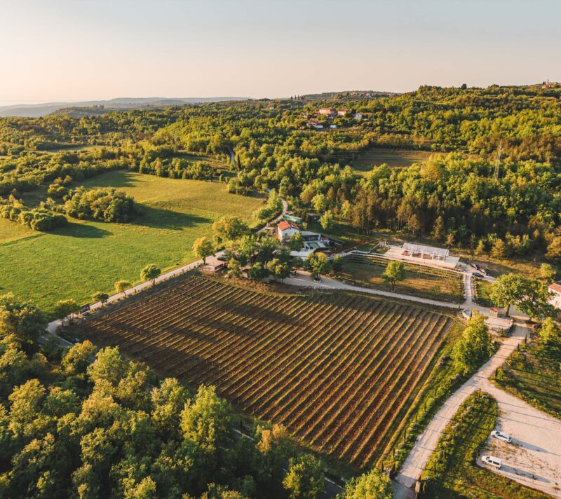Bel Istria x Tijara events
