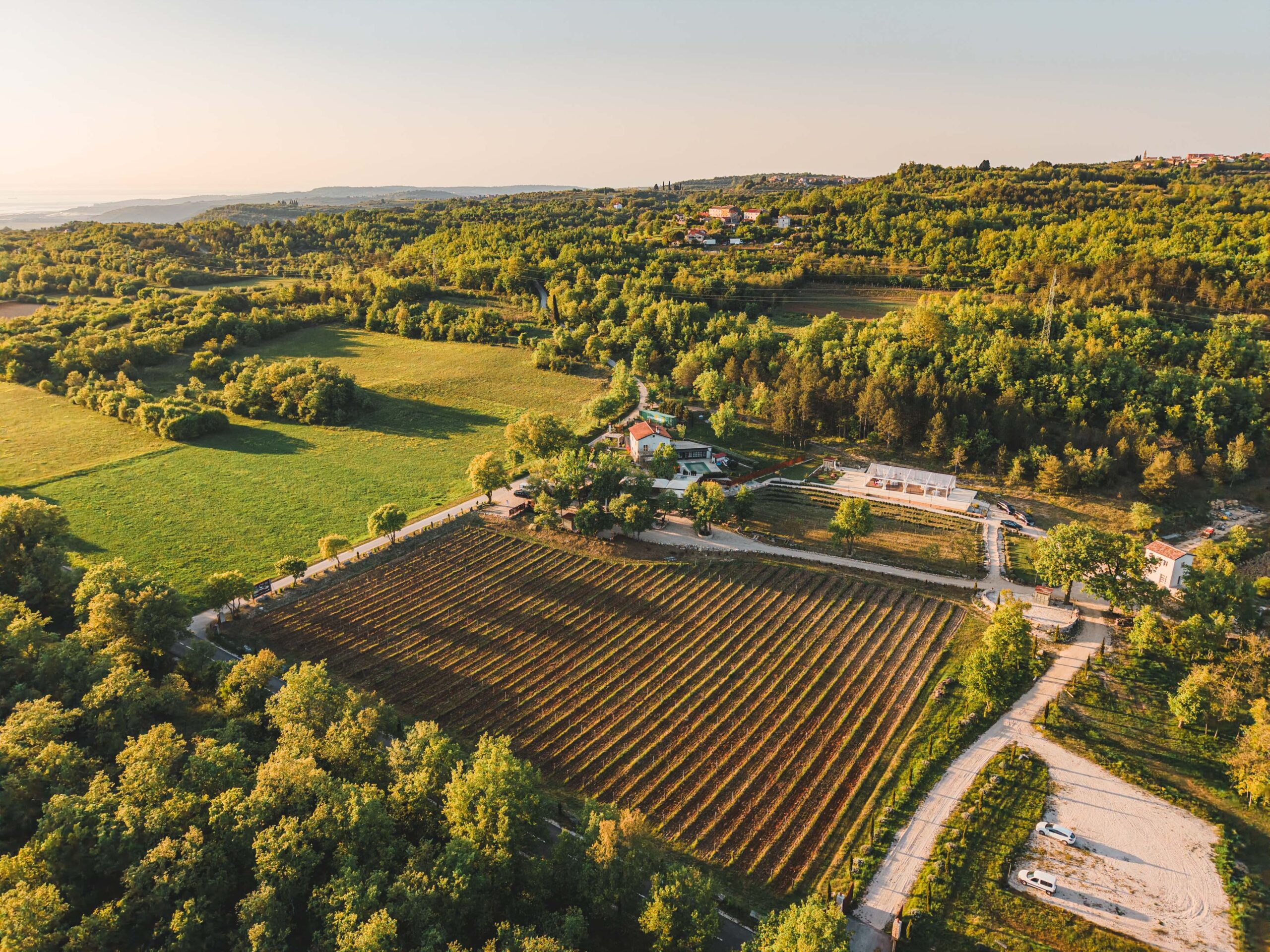 Bel Istria x Tijara events