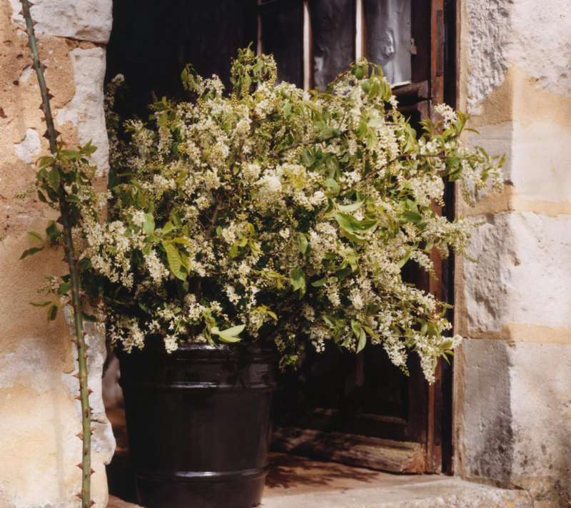 Ova Zara Home kolekcija za vrtlarstvo odvest će vas u ruralnu Francusku