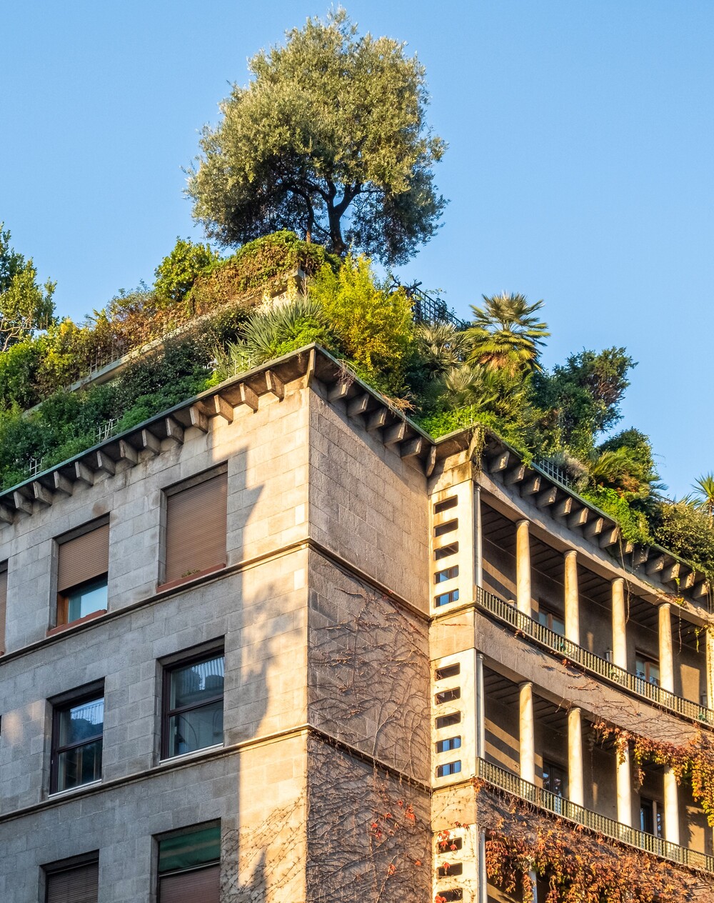 biofilni dizajn pozitivan psihološki učinak