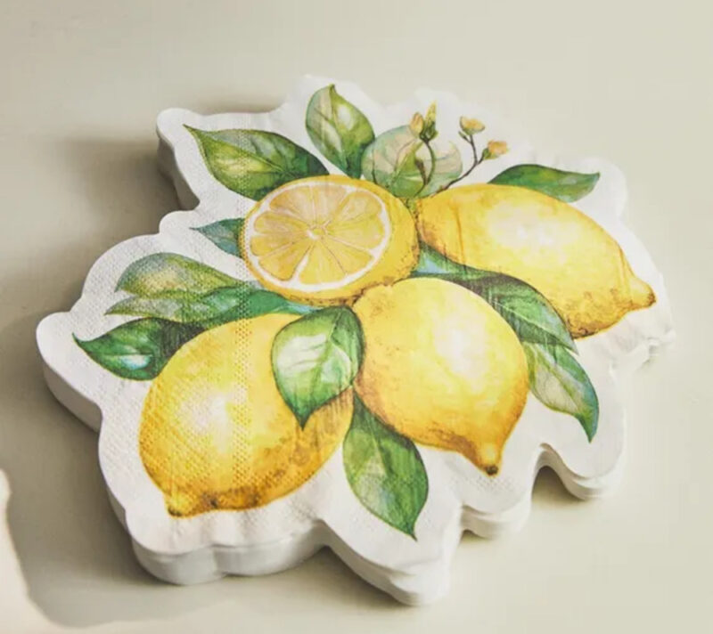 zara home piknik kolekcija