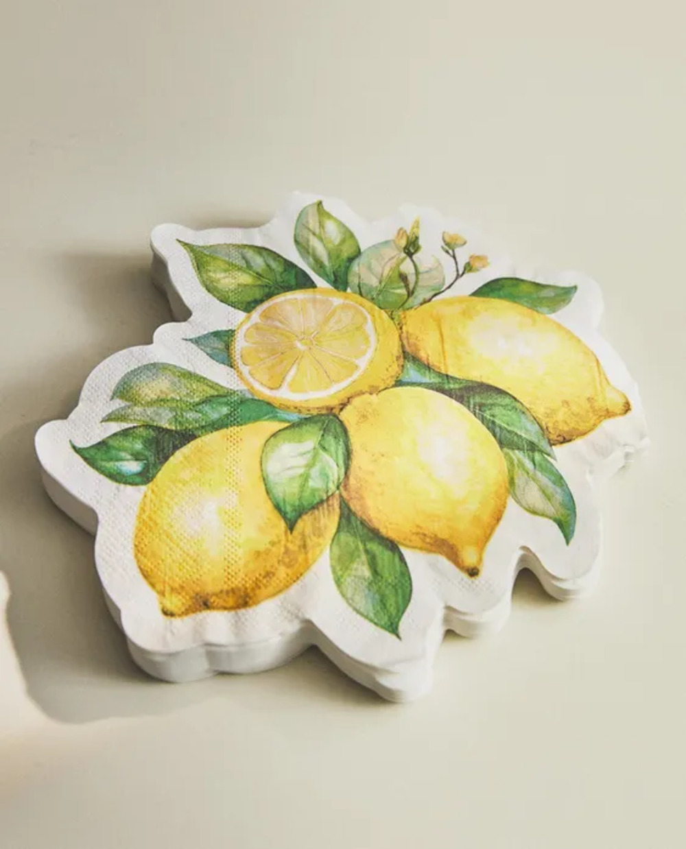 zara home piknik kolekcija