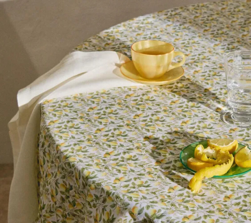 zara home piknik kolekcija