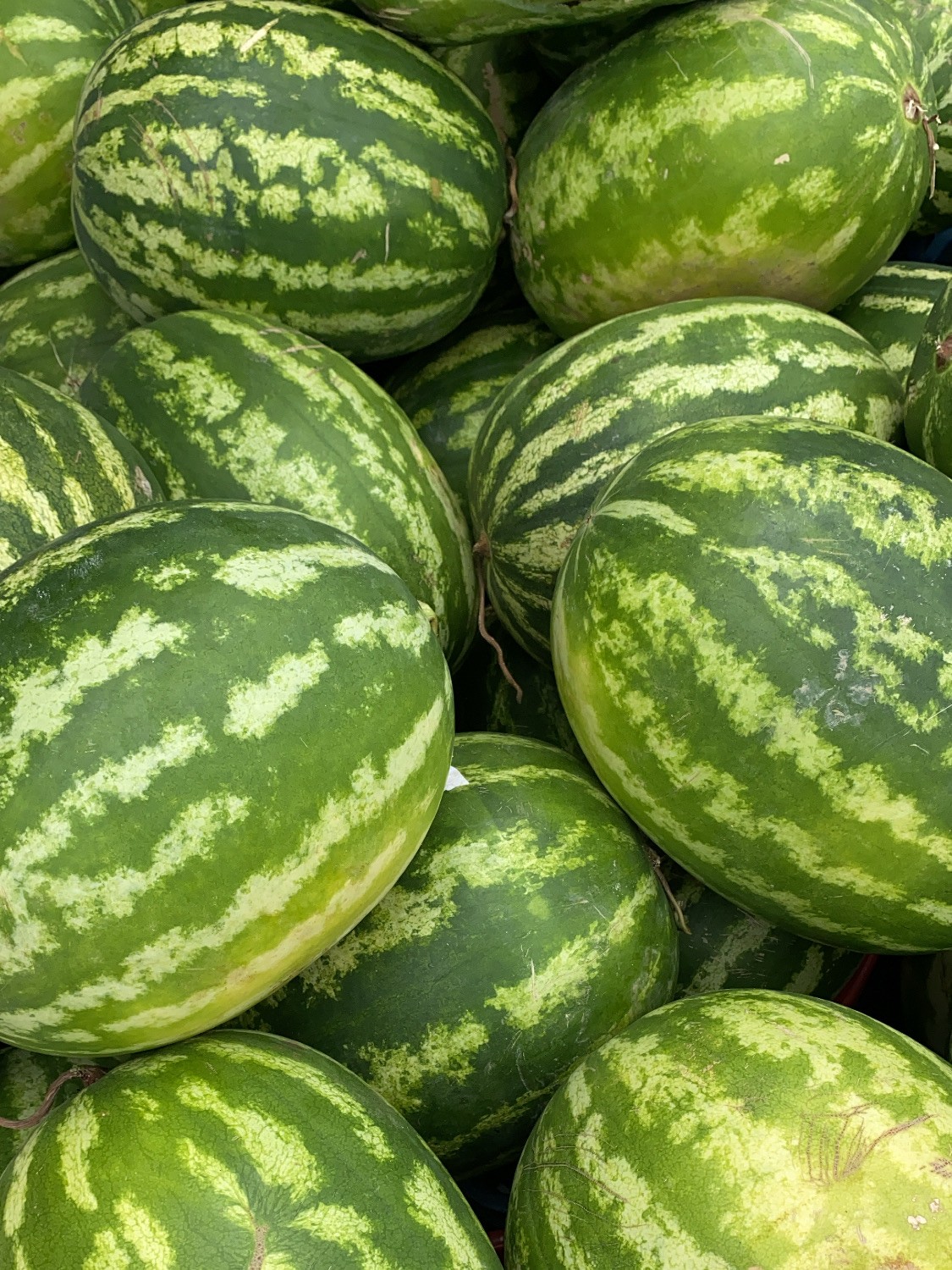 Lubenica za zdravlje srca