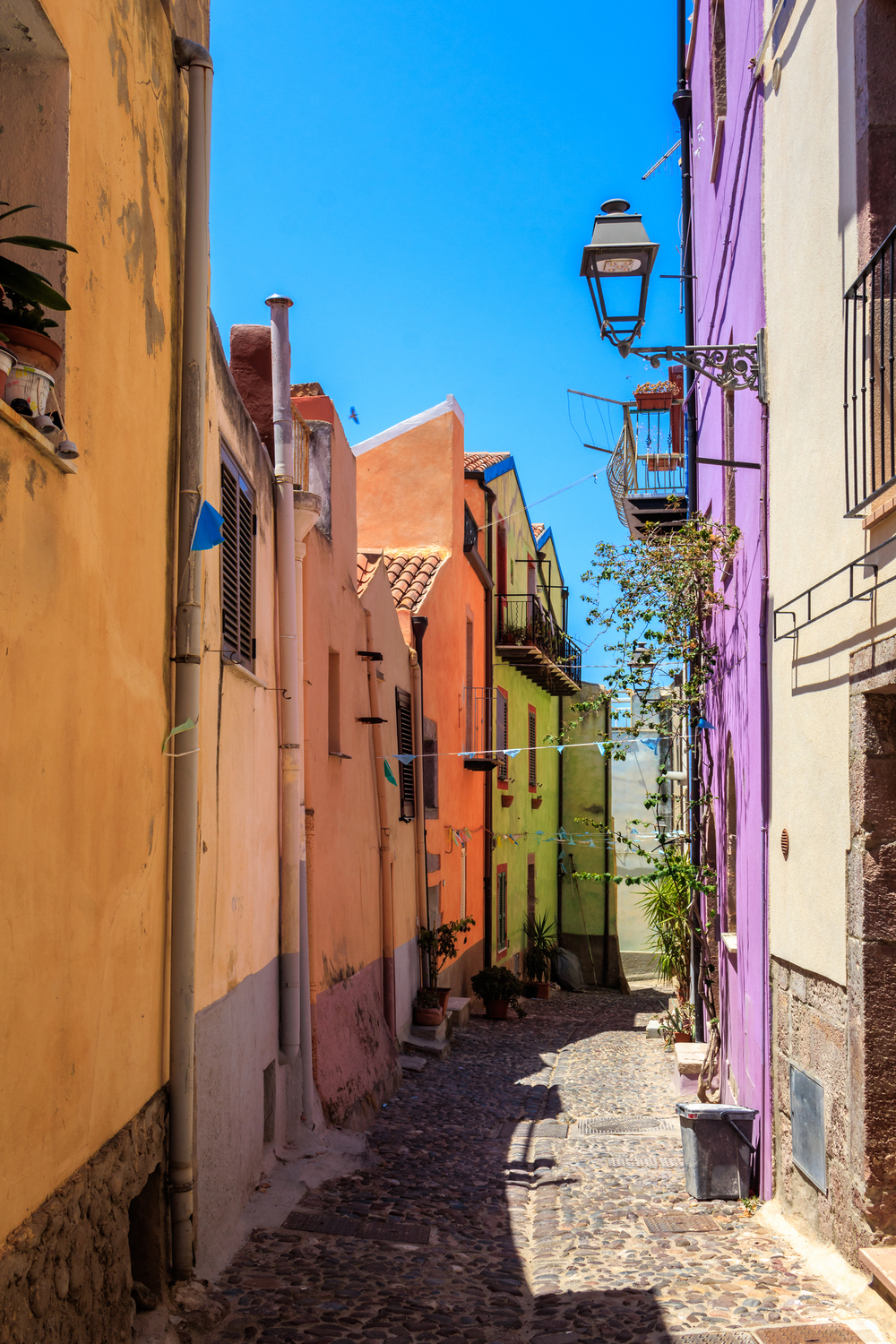 Prehrana u plavim zonama na Sardiniji