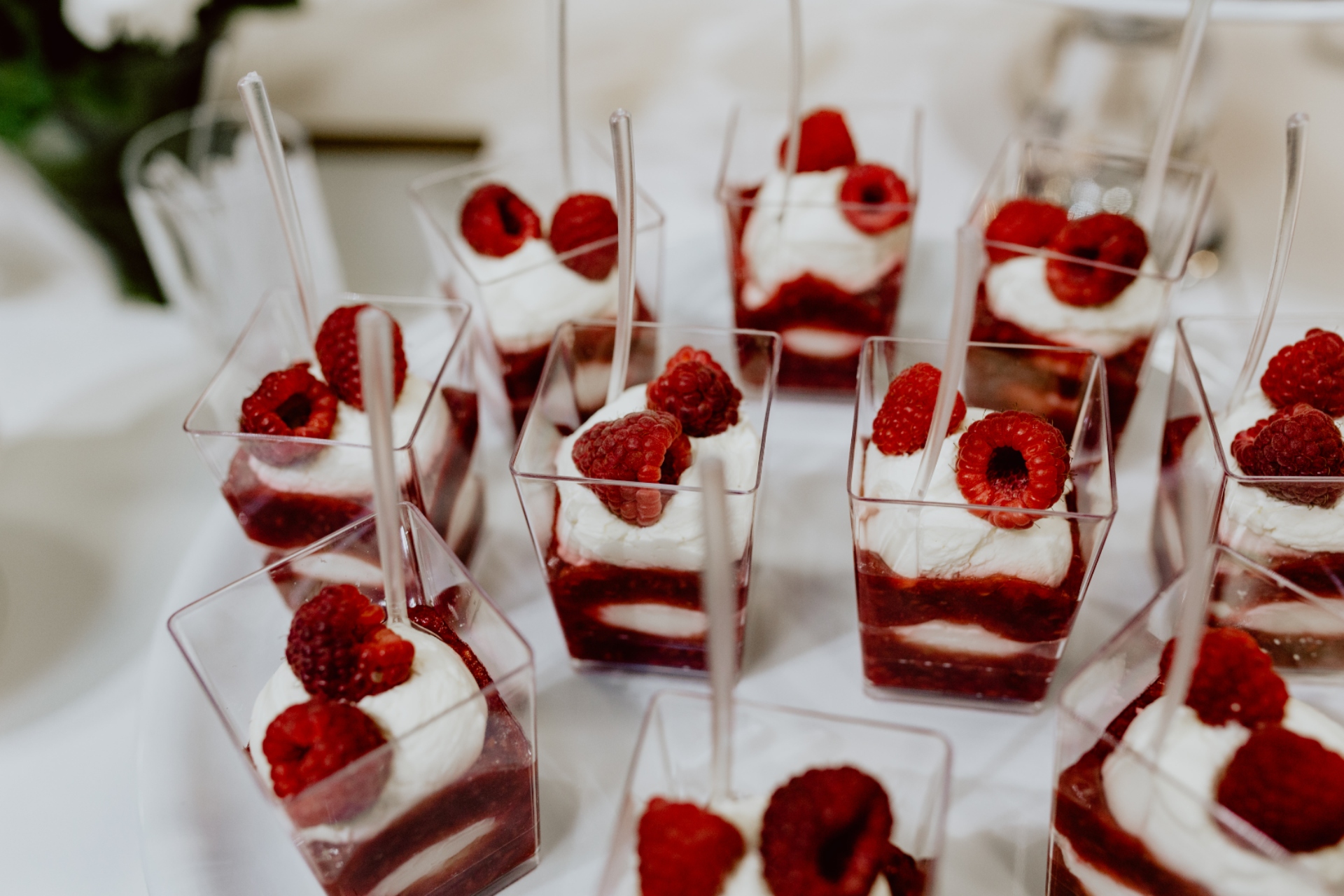 proteinski cheesecake