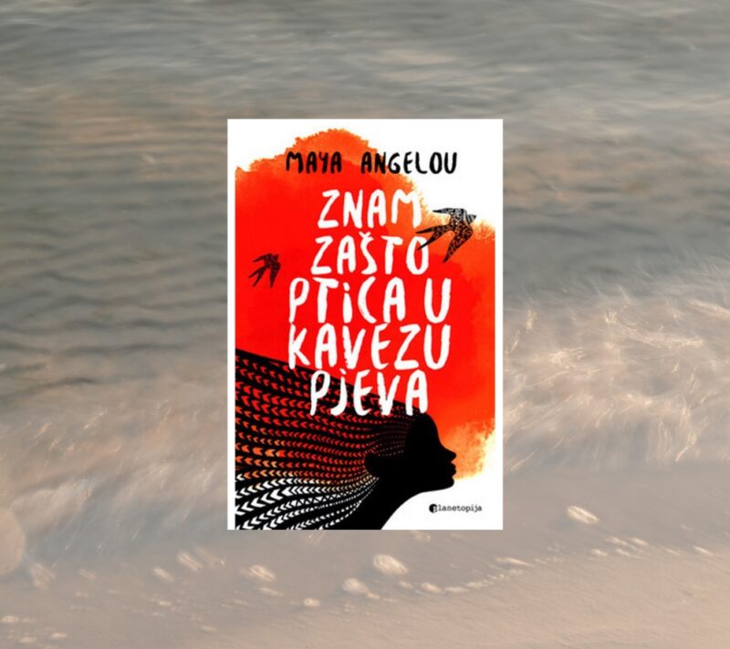 književne preporuke monika blažon literarne avanture