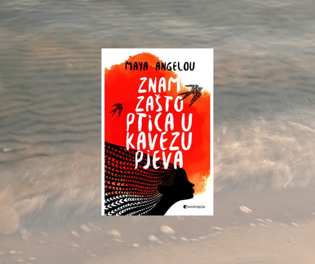 književne preporuke monika blažon literarne avanture