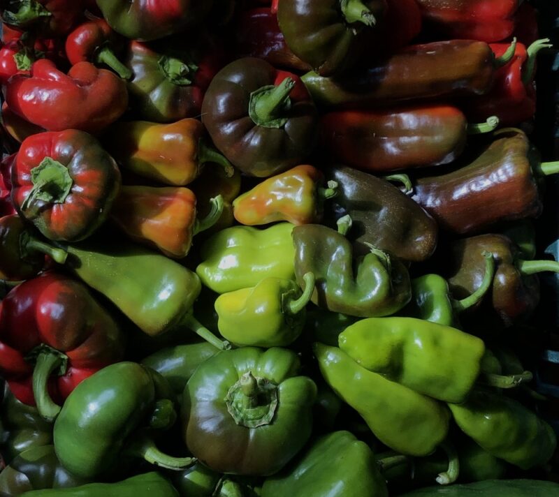 Zelena, žuta, narančasta ili crvena: koja je paprika najzdravija?