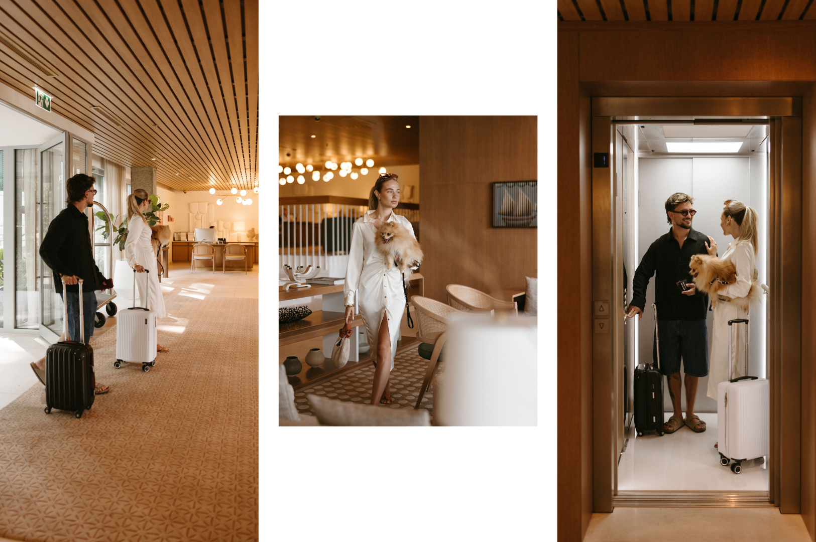 Maestral Adults Exclusive Hotel
