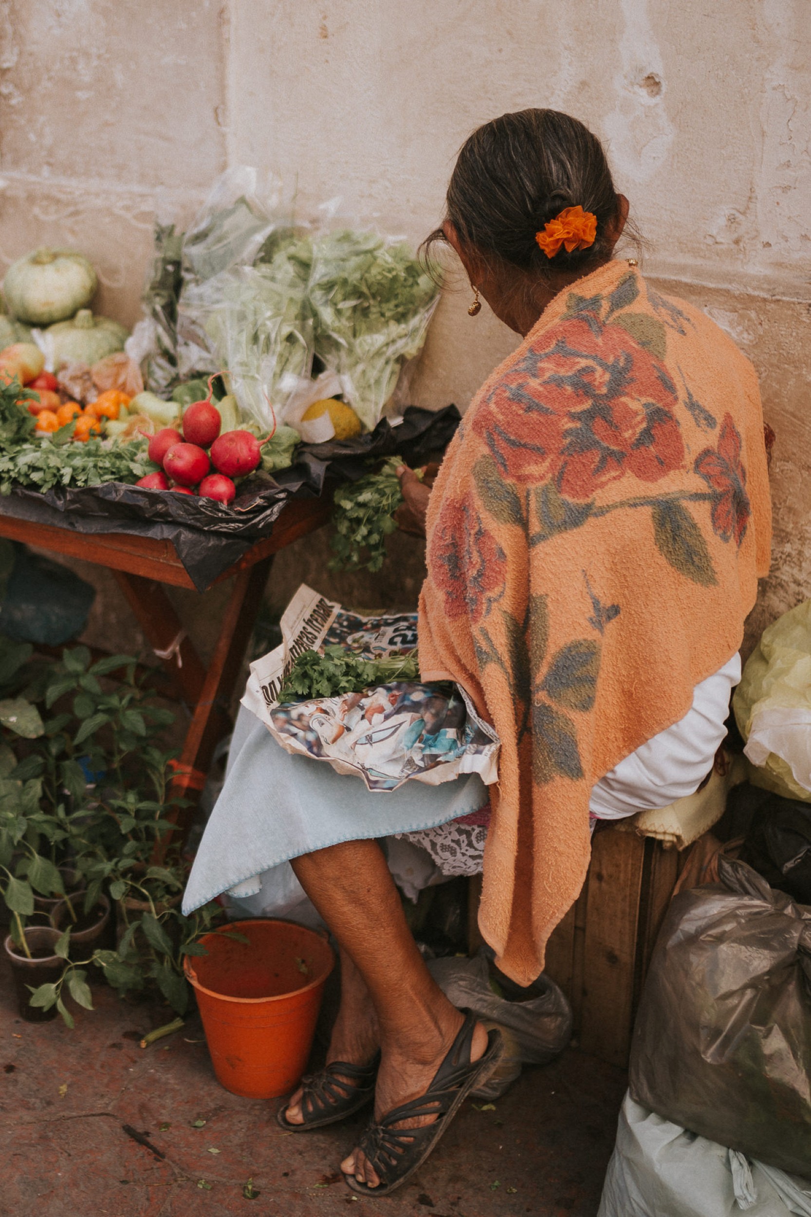 ivana vareško fotografije